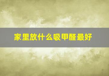 家里放什么吸甲醛最好