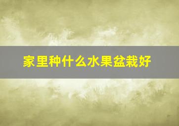 家里种什么水果盆栽好