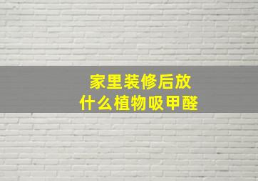 家里装修后放什么植物吸甲醛