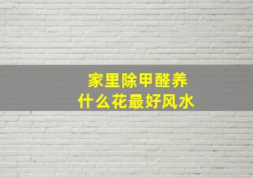 家里除甲醛养什么花最好风水