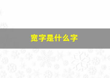 宽字是什么字