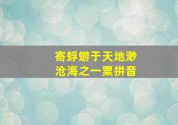 寄蜉蝣于天地渺沧海之一粟拼音