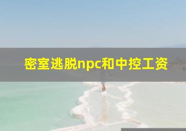 密室逃脱npc和中控工资