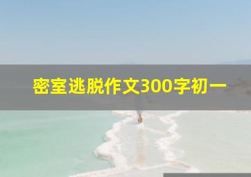 密室逃脱作文300字初一