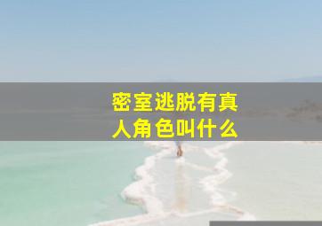 密室逃脱有真人角色叫什么