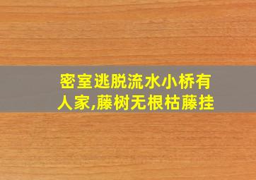 密室逃脱流水小桥有人家,藤树无根枯藤挂