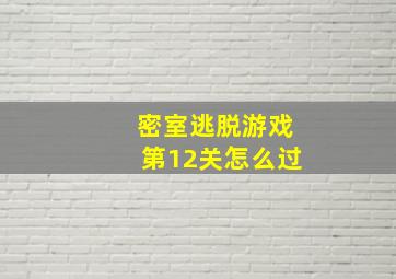 密室逃脱游戏第12关怎么过