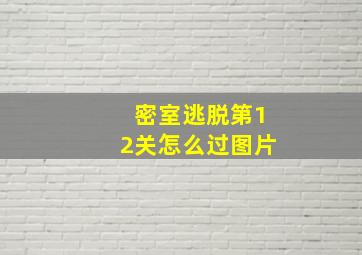 密室逃脱第12关怎么过图片