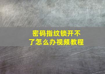 密码指纹锁开不了怎么办视频教程