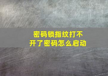 密码锁指纹打不开了密码怎么启动