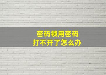 密码锁用密码打不开了怎么办