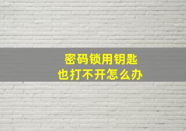 密码锁用钥匙也打不开怎么办