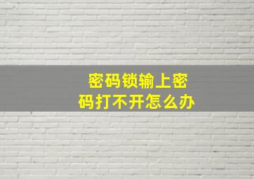 密码锁输上密码打不开怎么办