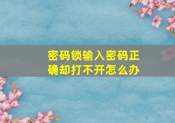 密码锁输入密码正确却打不开怎么办