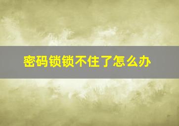 密码锁锁不住了怎么办