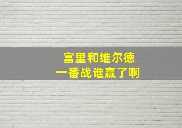 富里和维尔德一番战谁赢了啊