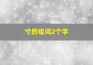 寸的组词2个字