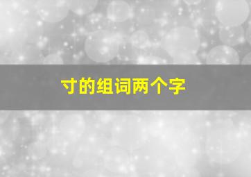 寸的组词两个字