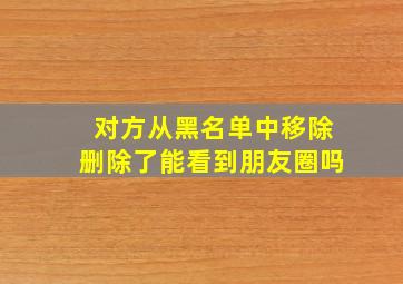 对方从黑名单中移除删除了能看到朋友圈吗