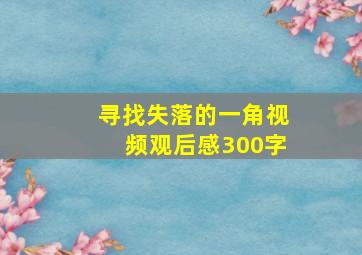 寻找失落的一角视频观后感300字