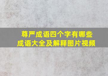 尊严成语四个字有哪些成语大全及解释图片视频