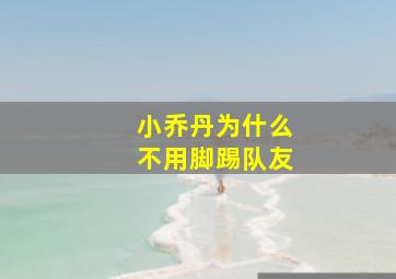 小乔丹为什么不用脚踢队友