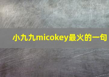 小九九micokey最火的一句