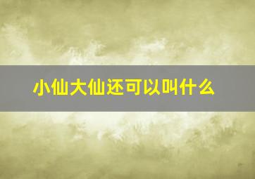 小仙大仙还可以叫什么