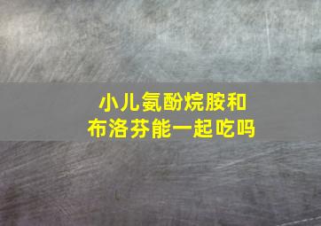 小儿氨酚烷胺和布洛芬能一起吃吗