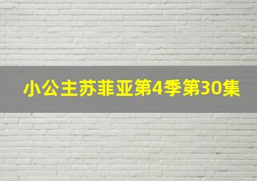 小公主苏菲亚第4季第30集