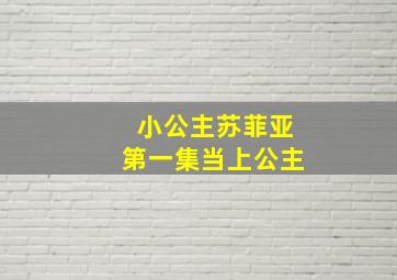 小公主苏菲亚第一集当上公主