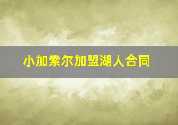 小加索尔加盟湖人合同