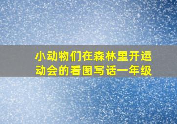 小动物们在森林里开运动会的看图写话一年级