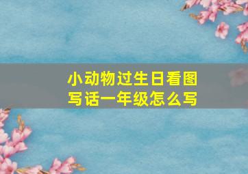 小动物过生日看图写话一年级怎么写