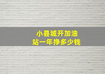 小县城开加油站一年挣多少钱