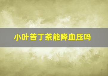 小叶苦丁茶能降血压吗