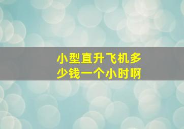 小型直升飞机多少钱一个小时啊