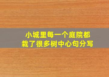 小城里每一个庭院都栽了很多树中心句分写