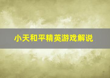 小天和平精英游戏解说