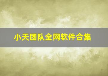 小天团队全网软件合集