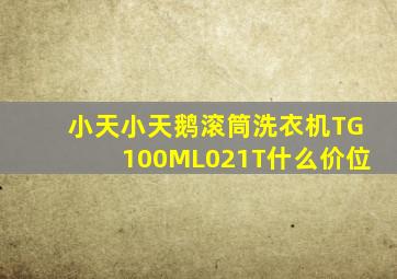 小天小天鹅滚筒洗衣机TG100ML021T什么价位