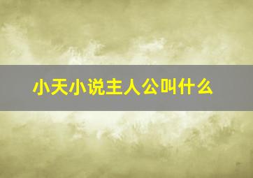 小天小说主人公叫什么