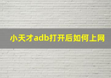 小天才adb打开后如何上网