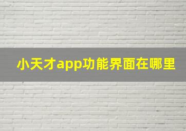 小天才app功能界面在哪里