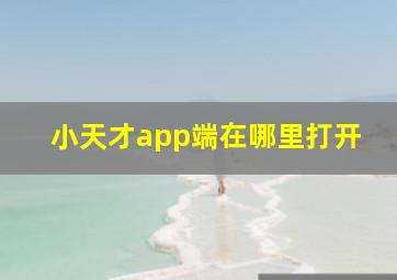 小天才app端在哪里打开