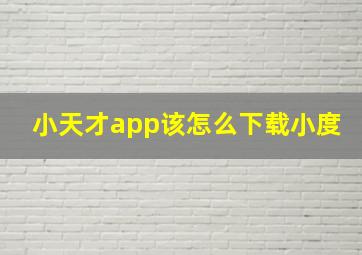 小天才app该怎么下载小度