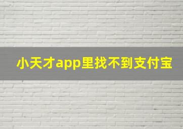 小天才app里找不到支付宝