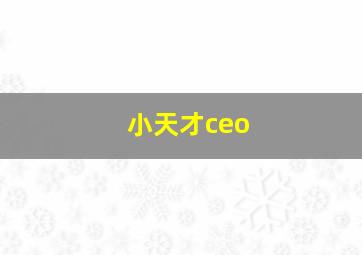 小天才ceo