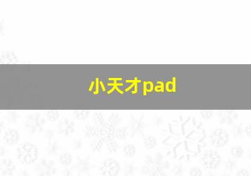 小天才pad