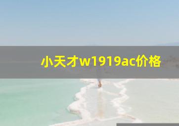 小天才w1919ac价格